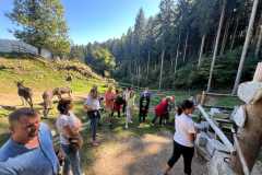 WhatsApp-Bild-2025-10-01-um-12.27.43_5da44186