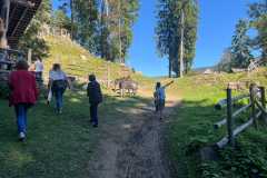 WhatsApp-Bild-2025-10-01-um-12.27.43_fbac157f