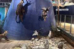 WhatsApp-Bild-2025-10-01-um-12.27.45_327a1af2