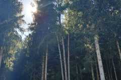 WhatsApp-Bild-2025-10-01-um-12.27.46_57caf914
